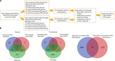 Integrated Microarray and RNAseq Transcriptomic Analysis of Retinal Pigment Epithelium/Choroid in Age-Related Macular Degeneration